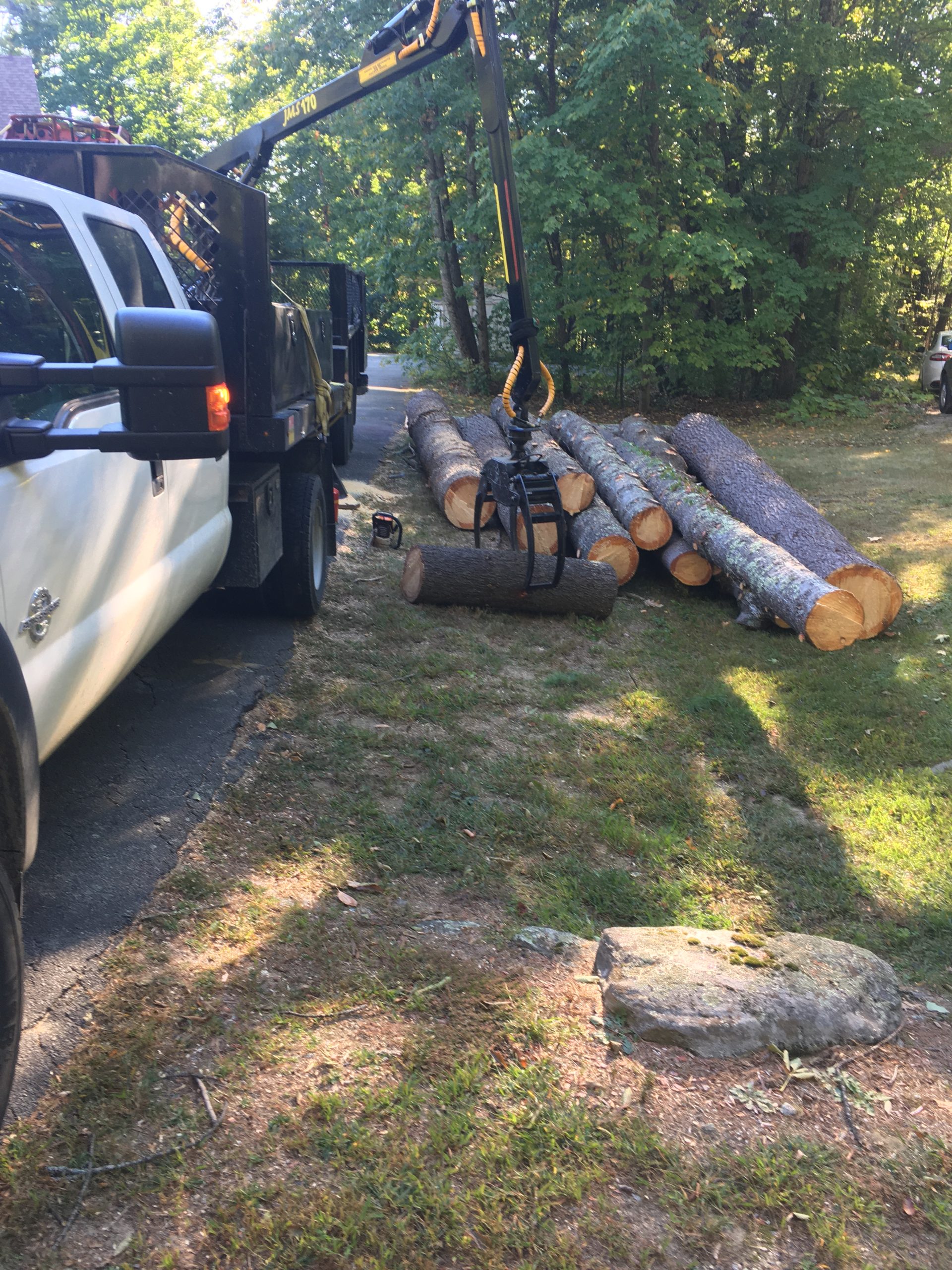 Log and Brush Removal